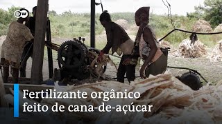 Miniatura do vídeo