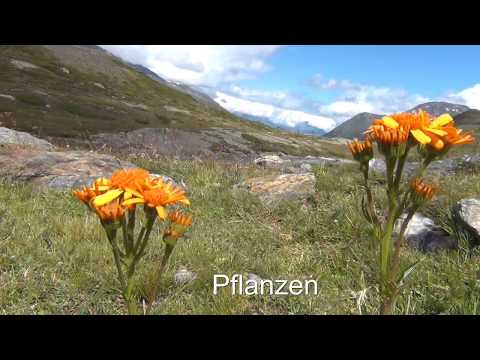 Das Martelltal-Das ist für mich Wildnis!