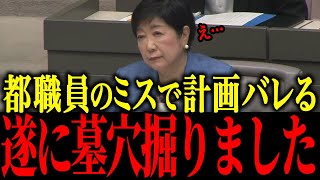 【さとうさおり】※小池、遂に致命的なミスをして裏工作がバレるw w w w w【佐藤沙織里 消費税 東京都議会本会議】