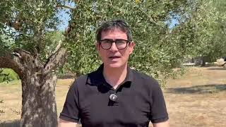 FRATOIANNI ATTACCA IL GOVERNO: "TUTTE LE FORZE PER SALVARE DELMASTRO, NULLA PER LA CRISI CLIMATICA"