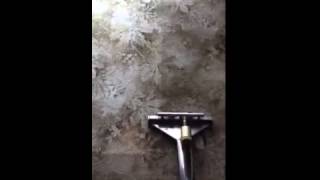 preview picture of video 'Carpet Cleaning Valrico FL - Call Me Now - (813) 518-6371 Mannys Carpet Cleaning Valrico'