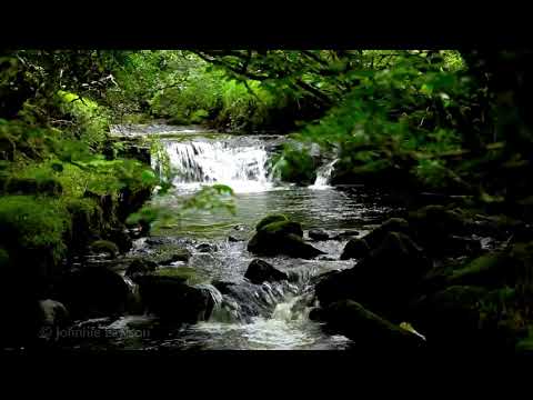 Relax-Nature Sounds