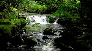 Relax-Nature Sounds-8 Hours-Waterfalls-Bird Songs-Sleep, Relaxation, Meditation and Study