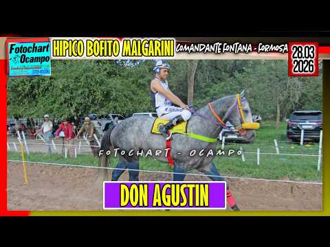 DON AGUSTIN Comandante Fontana FSA 28 03 2026