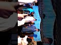 Hot Dance In Nikoo Wedding 14092017