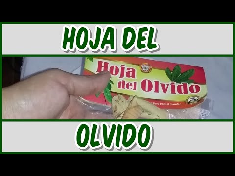 PROPIEDADES DE LA HOJA DEL OLVIDO