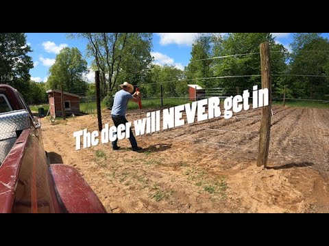 Building a Deer-Proof Fence