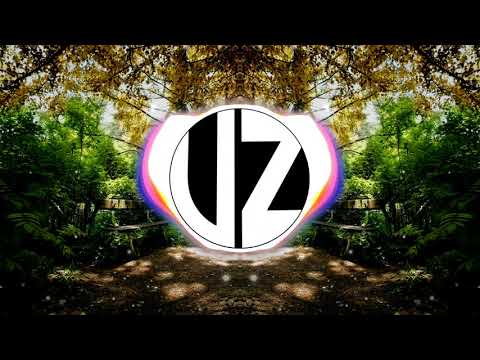 Vyznry - Walk In The Park