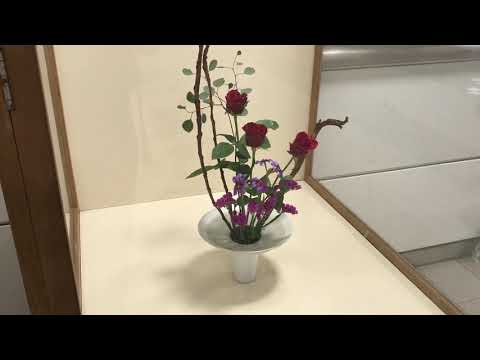 download lagu mp3 mp4 Honest Behaviour, download lagu Honest Behaviour gratis, unduh video klip Honest Behaviour