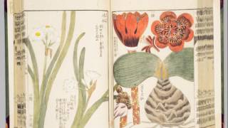 little B - Kurt Rosenwinkel