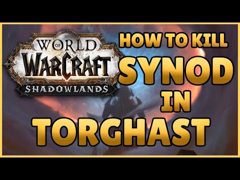 How To Kill Synod! Torghast - World of Warcraft Shadowlands