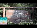 Disney Animal Kingdom Harambe Wild Life Reserve Safari 1998 POV