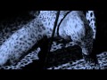 Rihanna  - Roc Me Out (MUSIC VIDEO) - TheSuperstar Stackhouse Rihanna  - Roc Me Out (MUSIC VIDEO)