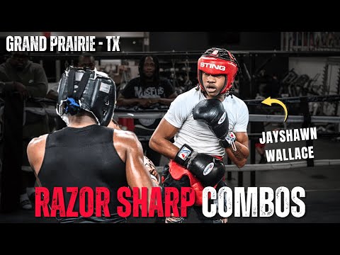 NATÜRLICH! Boxer setzt beim Sparring JEDEN Schlag mit PRÄZISION!