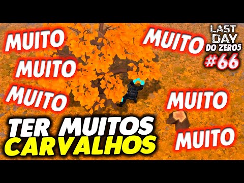 2º MELHOR FORMA DE TER MUITOS CARVALHOS - LAST DAY DO ZERO 5 #66