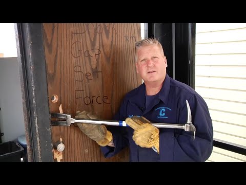 Halligan Positioning #5806231898001