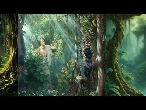 Krishna bhajan, Sundar gopalam.......