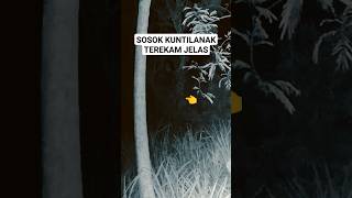 Download lagu Penampakan Kuntilanak Asli Terekam CCTV mp3