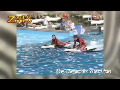 ZooZappers - Orca - Killer whale show #04
