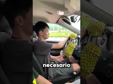 Así No debes Conducir 😂