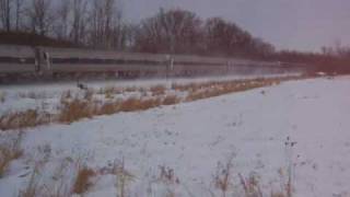 preview picture of video 'Amtrak 48 w/Hickory Creek; Lyons, NY 01-02-10'