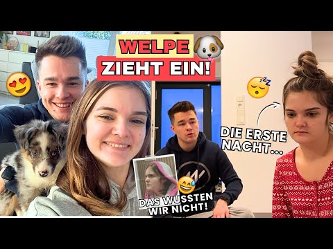 Unser WELPE zieht ein! 🐶🏠😍 SO war die ERSTE NACHT...😴😅| Hans&Wika