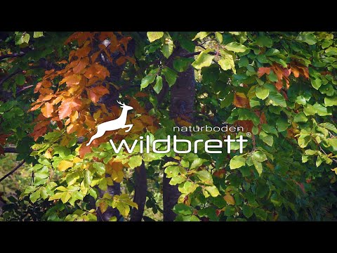 Nature Stock Footage [041] - Zeitlos schön - Wildbrett Naturboden