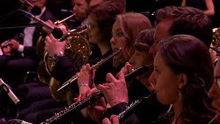 FMF 2017: 10th FMF Anniversary Gala | 24 suite | Sean Callery