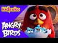 Red Saves The Baby Hatchlings Angry Birds Best Bits Kidzuko
