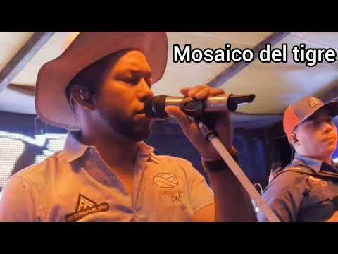 Mosaico del Tigre Alejandro Torres y las estrellas del ritmo