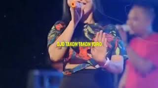 Download lagu Story wa dangdut hot (WELAS HANG RING KENE) syahiba saufa mp3 Download lagu Story wa dangdut hot (WELAS HANG RING KENE) syahiba saufa mp3