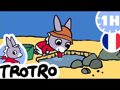 TROTRO MEILLEURS MOMENTS | ☀️ Trotro s'amuse au soleil ! ☀️