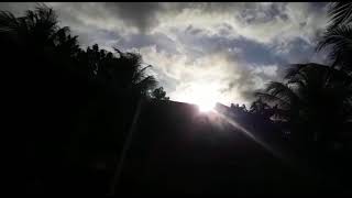 O CEIFEIRO LADRO E SUA FILHA .     (Para refletir!)