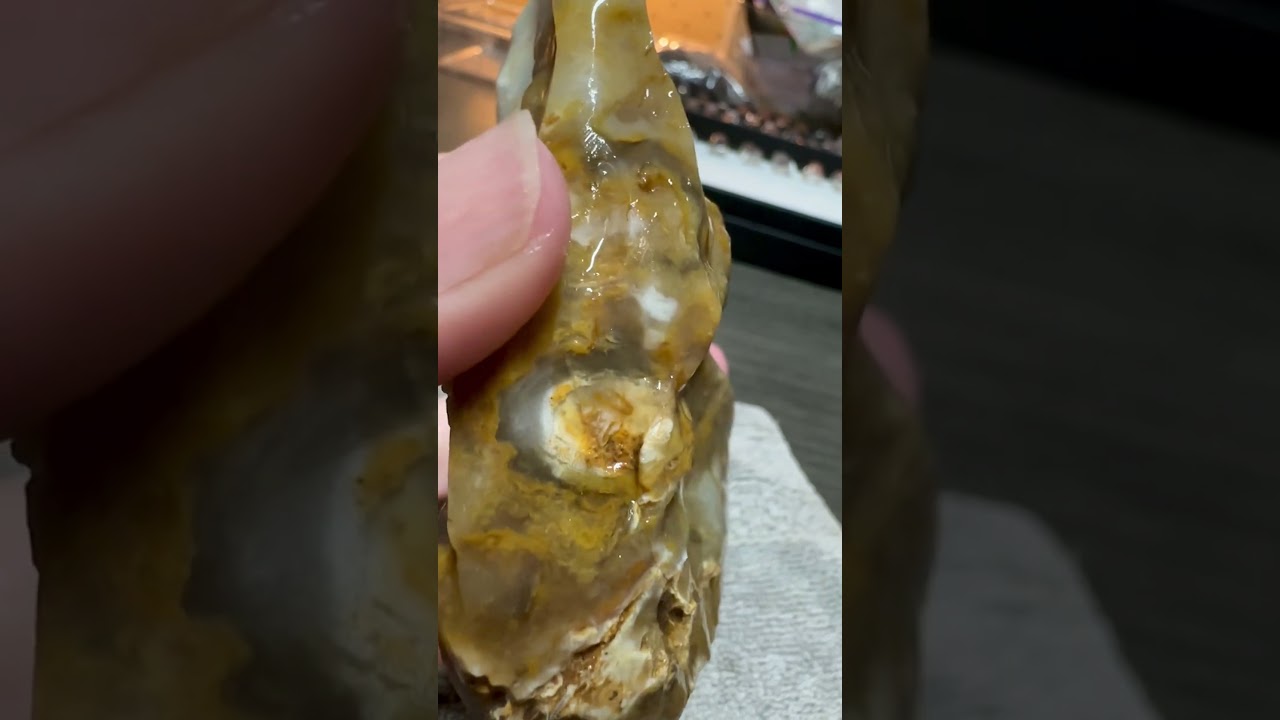 Savannah River Agate #8