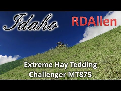 Extreme Hay Tedding with Challenger MT875 - Farming Simulator 15 MP Idaho