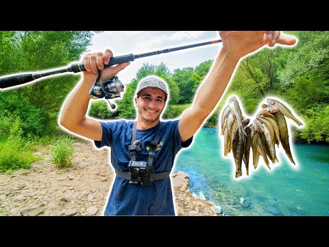 Pêcher beaucoup de Poissons et les Manger en Friture ! [Pêcher-Cuisiner-Manger]