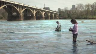Esri Case Study: SC Department of Health & Environmental Control