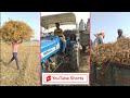 Jindabad Jawani Jindabad Kisani Ajay Hooda Status Short YouTube Short Bhaskar Mainpuri