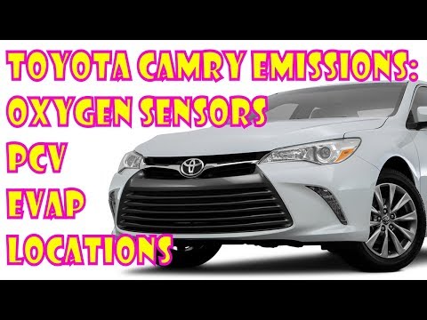 Toyota Camry 2.5L PCV, EVAP, Oxygen Sensor, Air Fuel ratio sensors