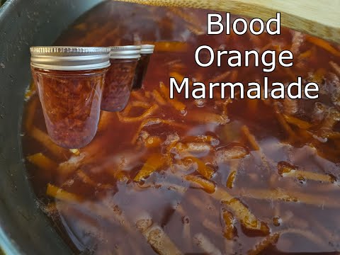 Delicious Homemade Blood Orange Marmalade Recipe