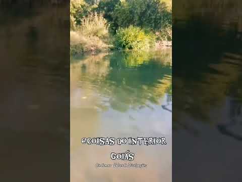 Bom dia! 👍🙏 ( Guapó -Goiás )