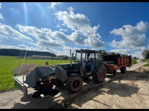 (let's drive) Futterholen mit Eicher 3066 und landsberger Ladewagen 2023