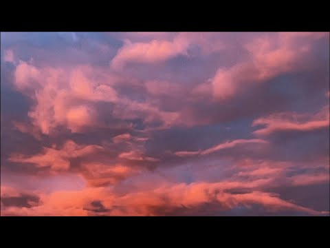 DANGUS JAU RAUSTA – Livija Gemma