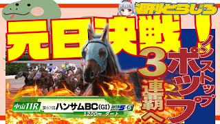 【第67回ハンサムBC】とらじろさん家のダービースタリオン#101