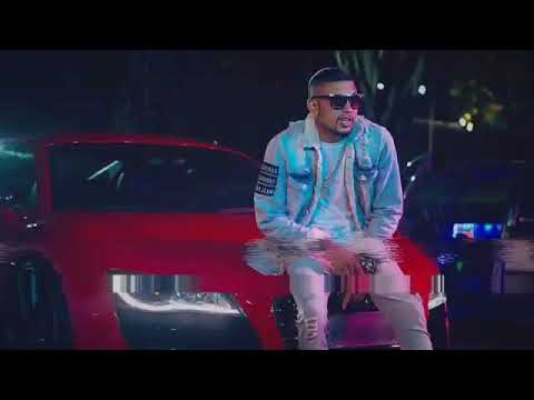 Bebê vem mi procura 《Lupper 2020》