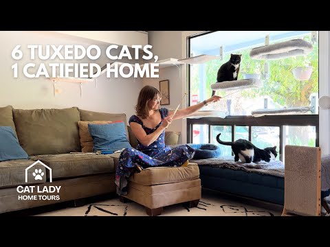 6 Tuxedo Cats Rule This Cleverly Catified PORTLAND Home | Cat Lady Home Tour