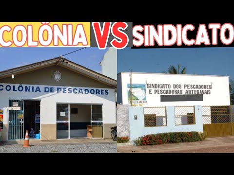 Fishing colonies and fishing unions, what is the difference?