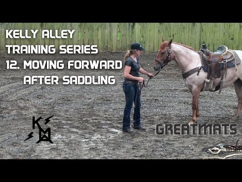 How To Move Your Colt Forward After Saddling - Horse Training Series #12