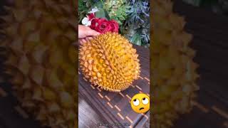 Download lagu Tutorial mempersulit hidup 🗿🗿 #debm #tutorial #masakan mp3 Download lagu Tutorial mempersulit hidup 🗿🗿 #debm #tutorial #masakan mp3