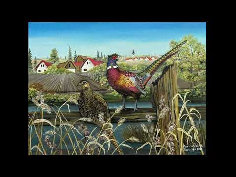 Ana Zlochova - idu chlapci zo šireho pola